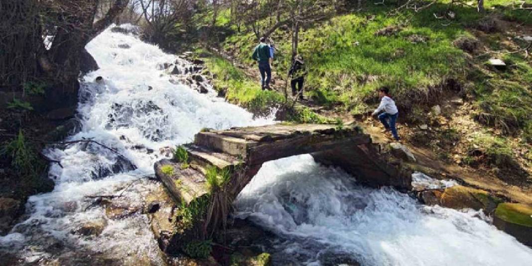 Kar suları eriyince coştu! Beyazsu Şelalesi göz kamaştırdı 1